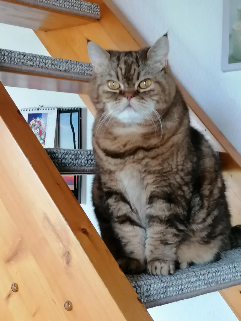 Bild von Benny