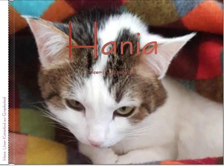 Image from Hania