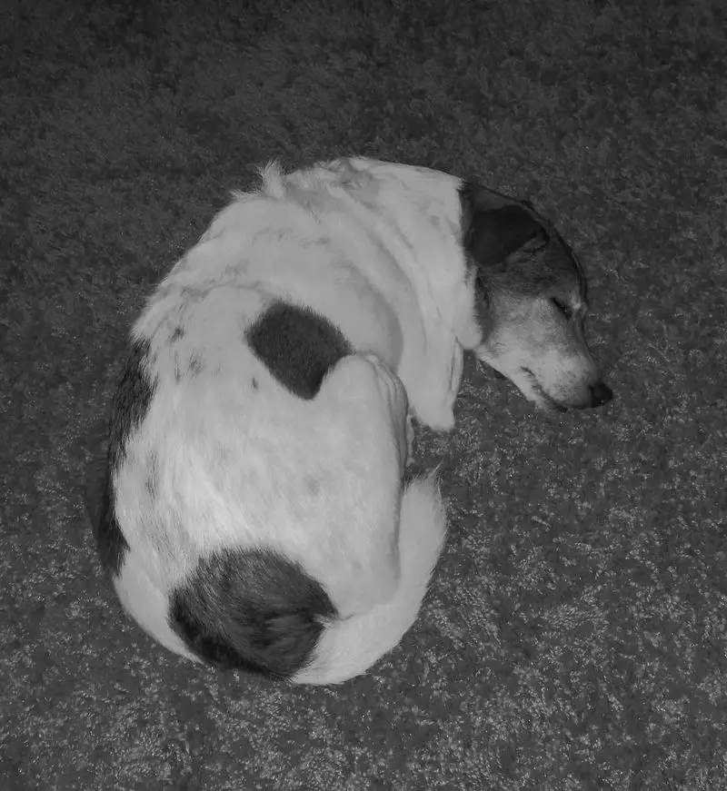 Condolence image of Marlene