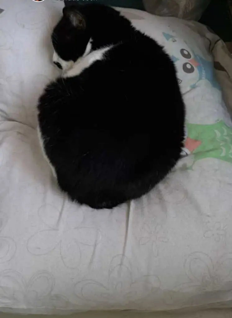 Image from Sunny