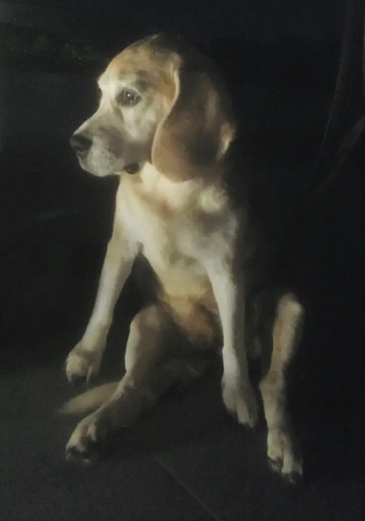 Image from Quixi