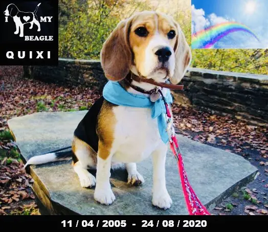 Image from Quixi
