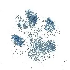 Image from Quixi
