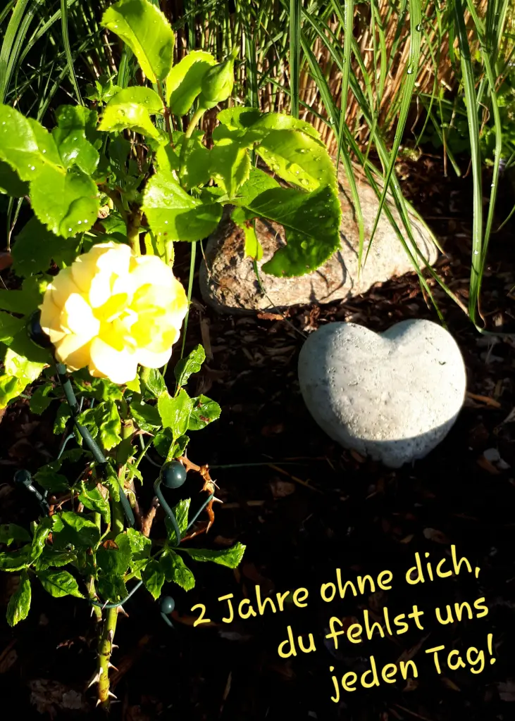 Condolence image of Karin