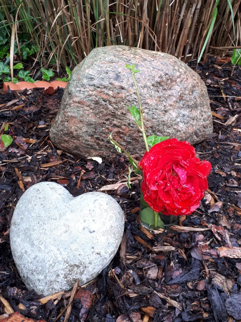 Condolence image of Karin