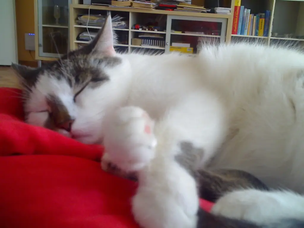 Image from Fleckchen