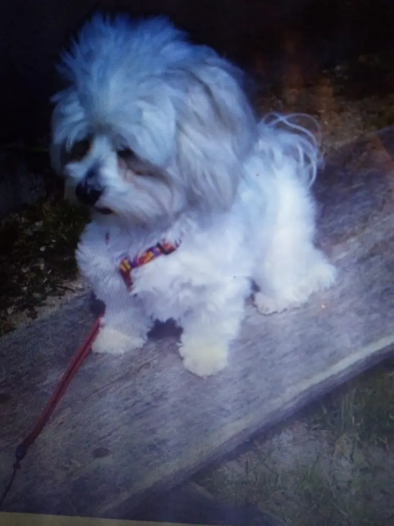 Image from Buffy