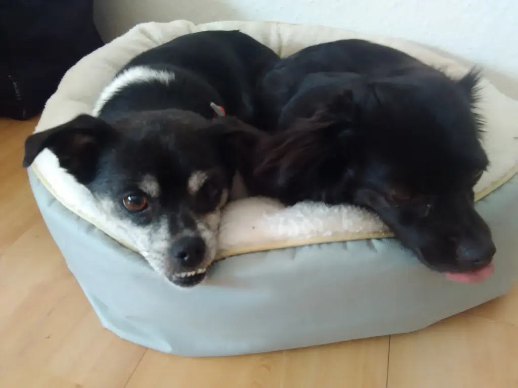 Image from Tootsie