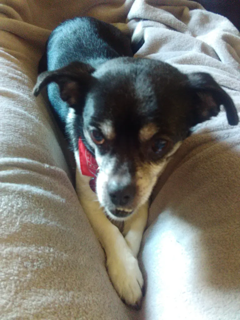 Image from Tootsie