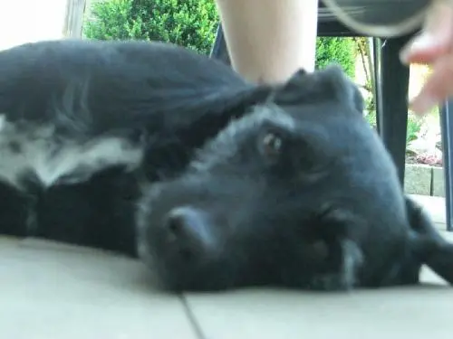 Bild von ˙·•● Ƹ̵̡Ӝ̵̨̄Ʒ JERRY Ƹ̵̡Ӝ̵̨̄Ʒ ●•·˙