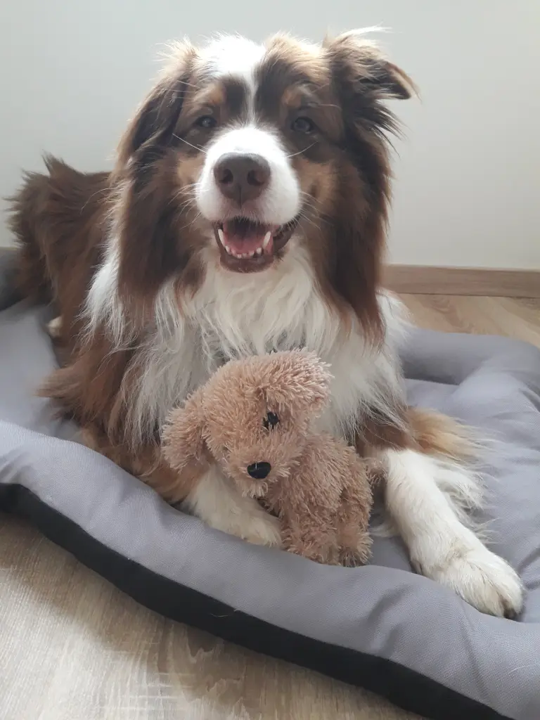 Image from Fynn