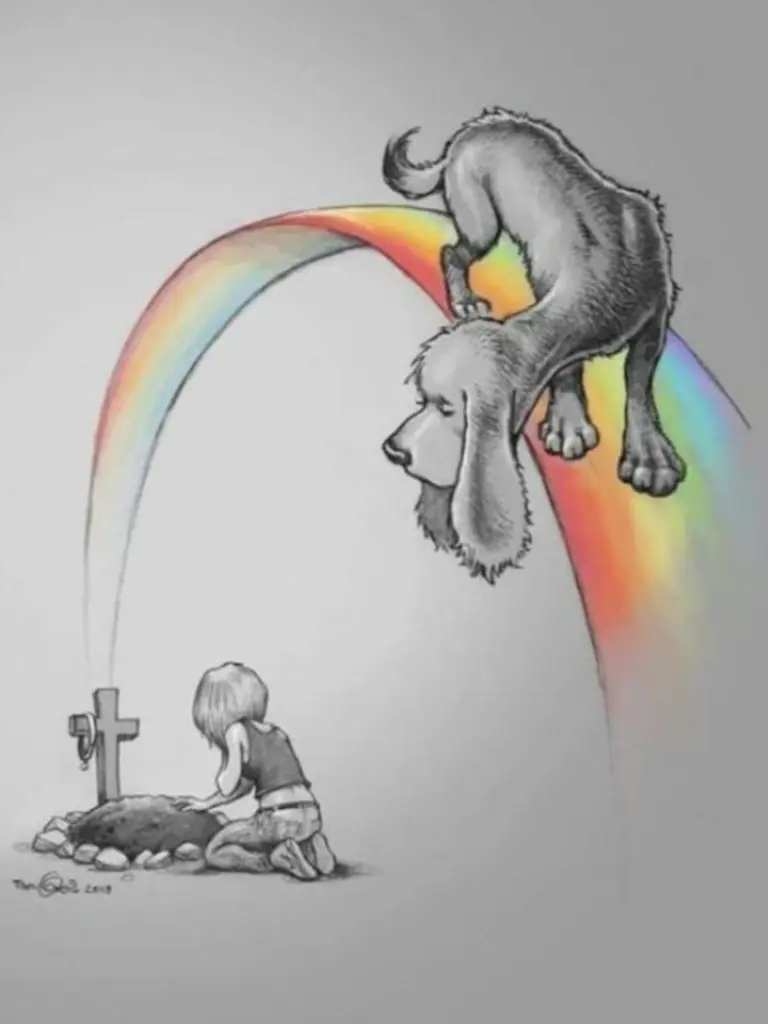 Condolence image of Anja & Christof