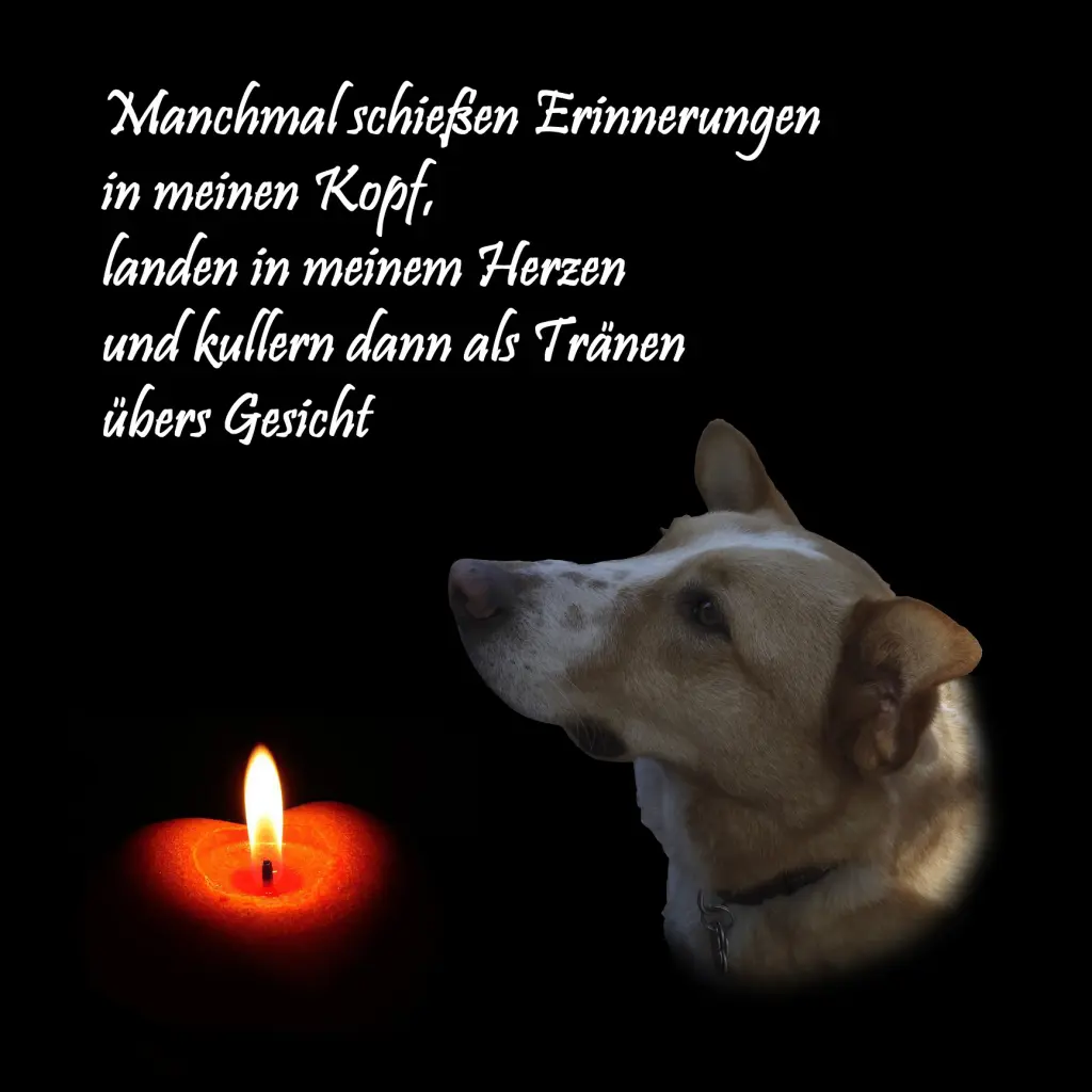 Condolence image of Anja & Christof