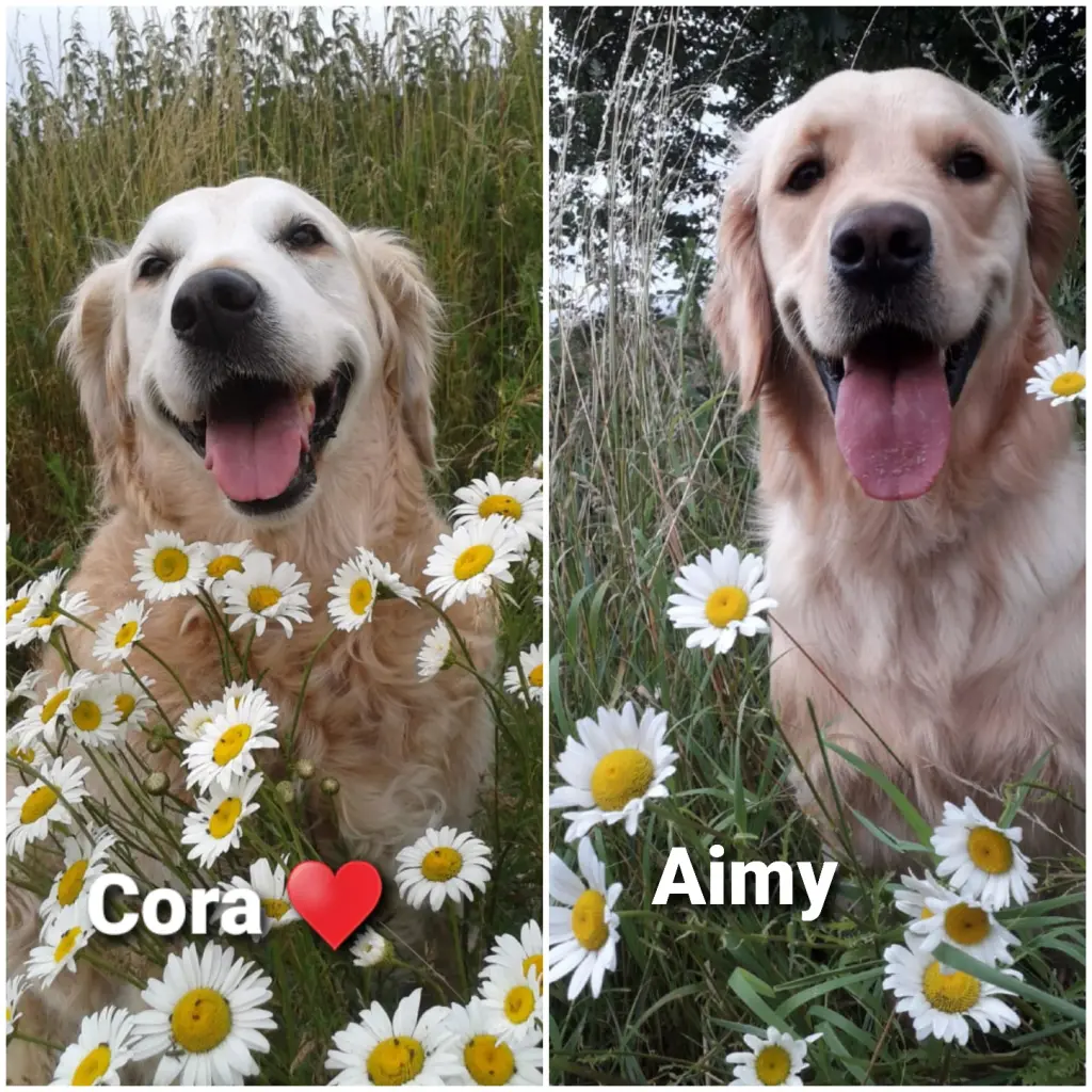 Andachtsbild von Unbekannt