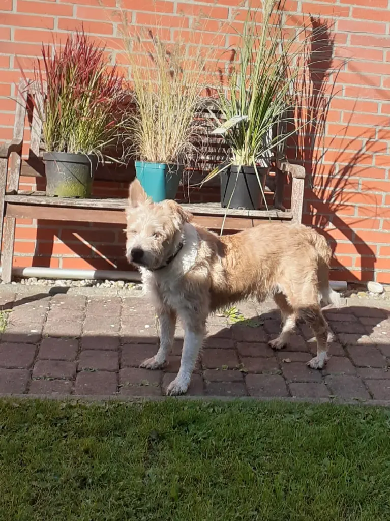 Andachtsbild von Martina