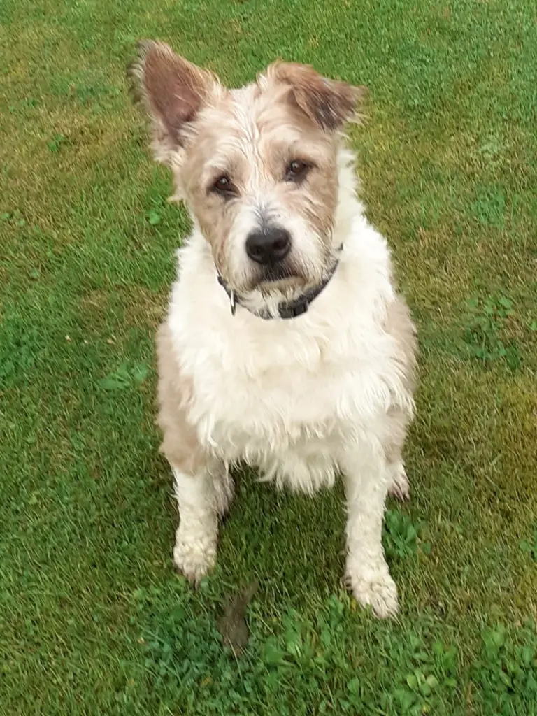 Andachtsbild von Martina