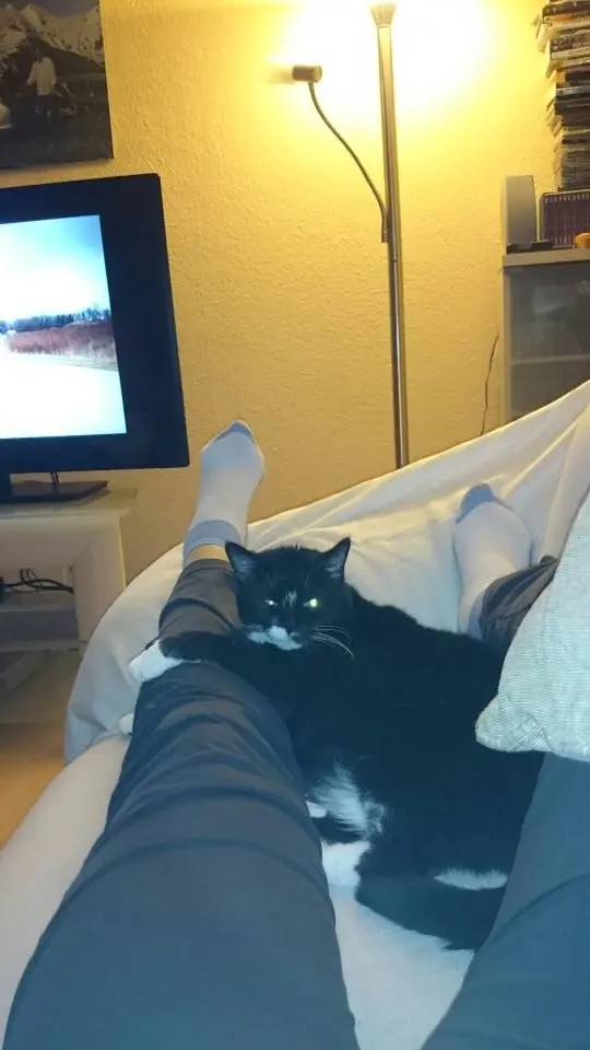 Image from Kitty