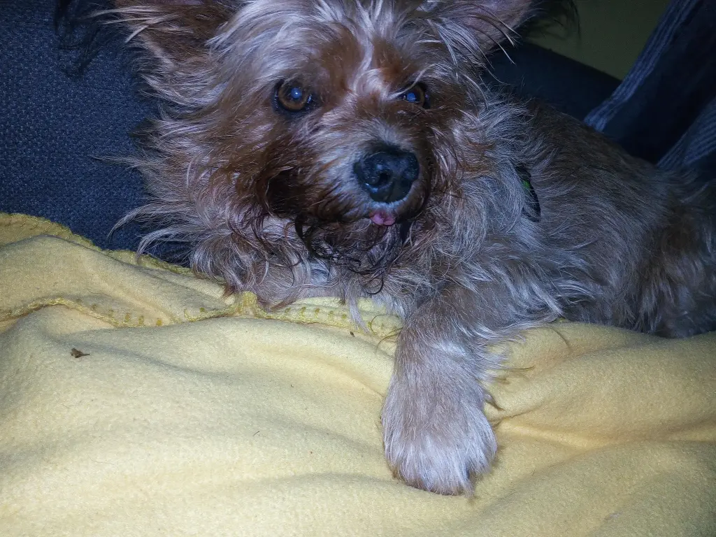 Image from Timmy