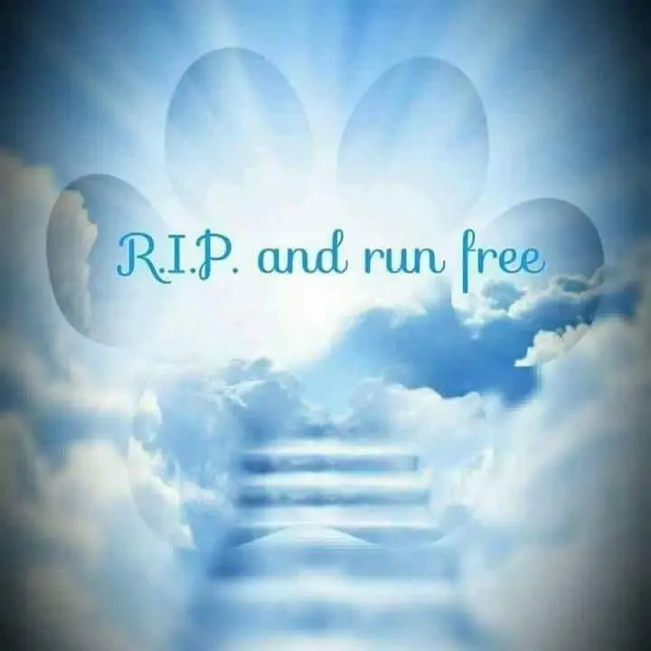 Andachtsbild von Run free Beauty