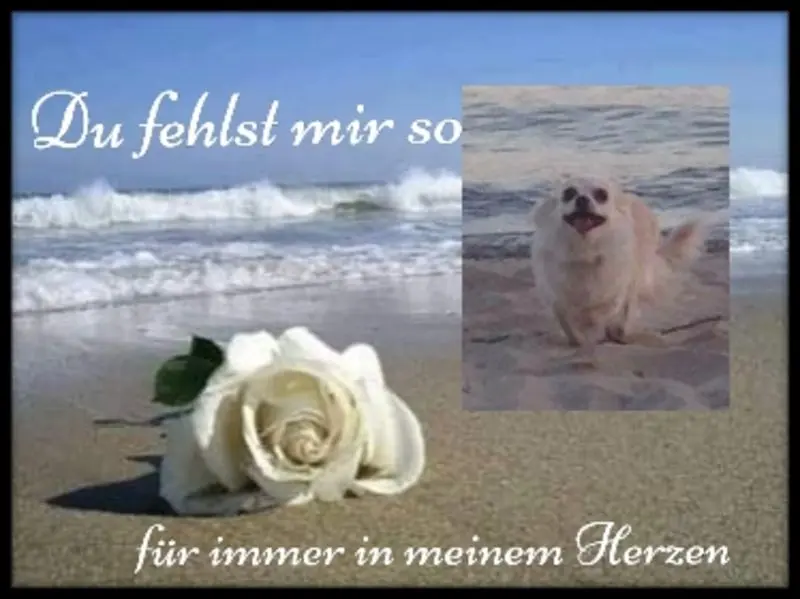 Andachtsbild von Danny