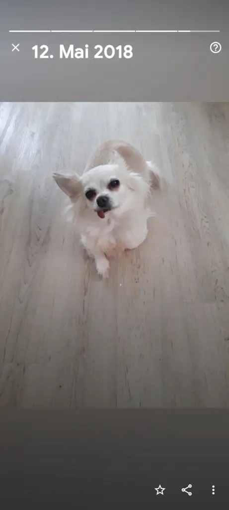 Andachtsbild von Danny
