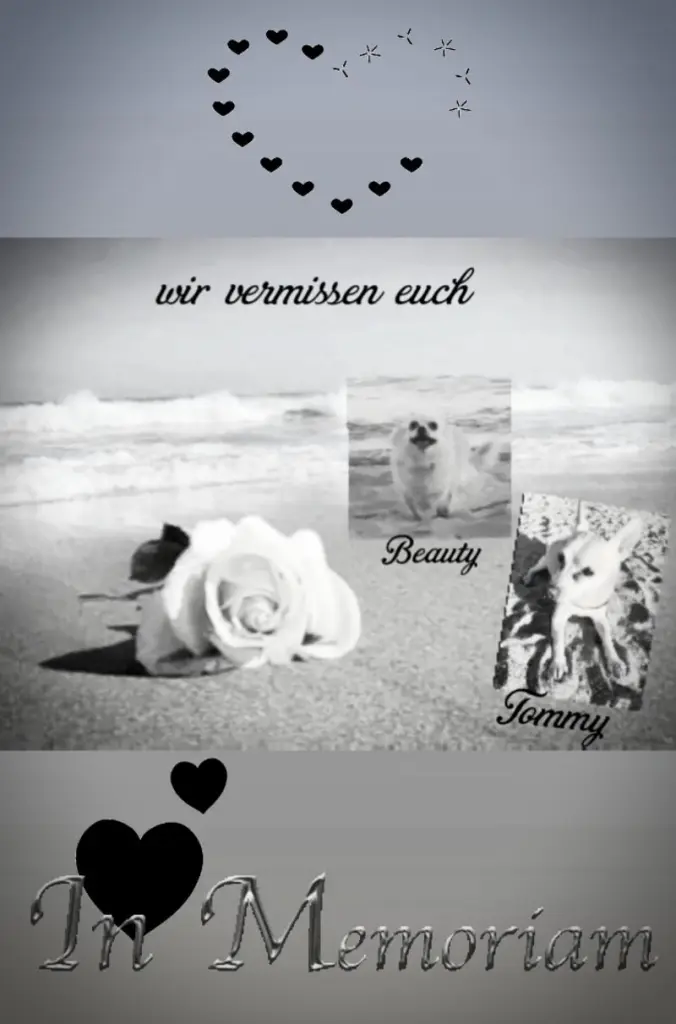 Andachtsbild von Danny