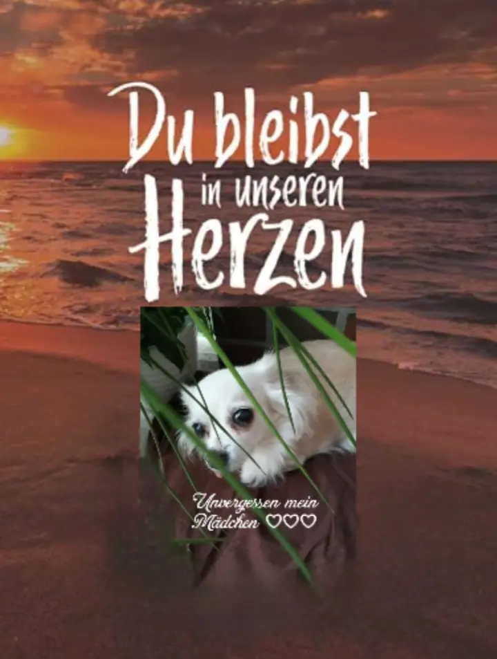 Andachtsbild von Danny, Nico, Cheyenne, Andreas, Summer