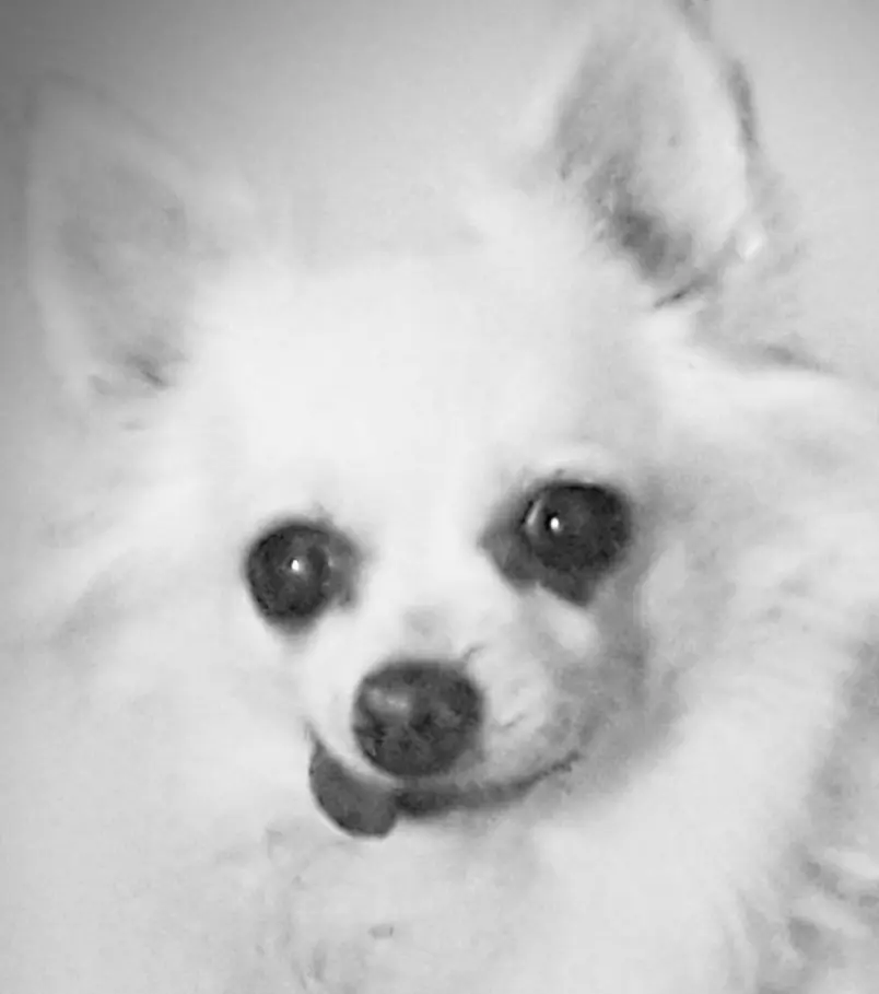 Bild von Beauty- Bee ♡♡♡