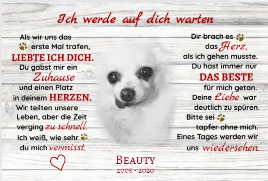 Bild von Beauty- Bee ♡♡♡