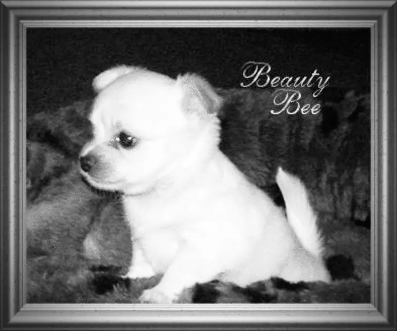 Bild von Beauty- Bee ♡♡♡