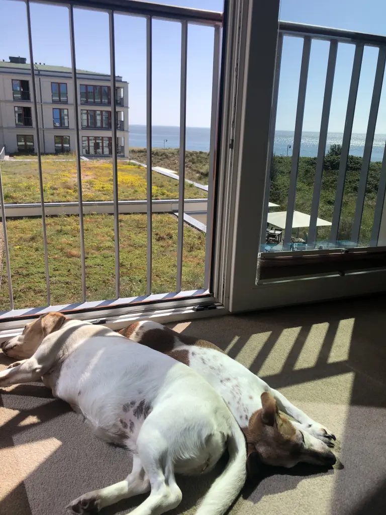 Image from Julchen