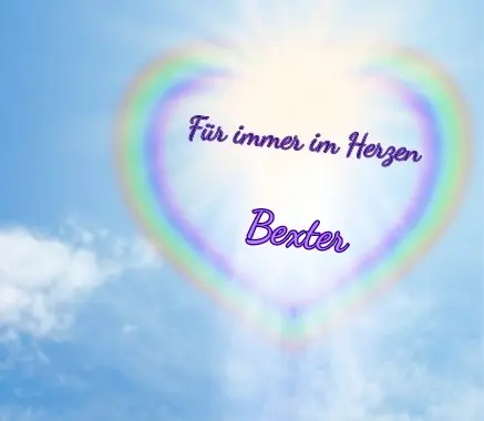 Condolence image of Chantal und Kessy im ❤️ Herzen
