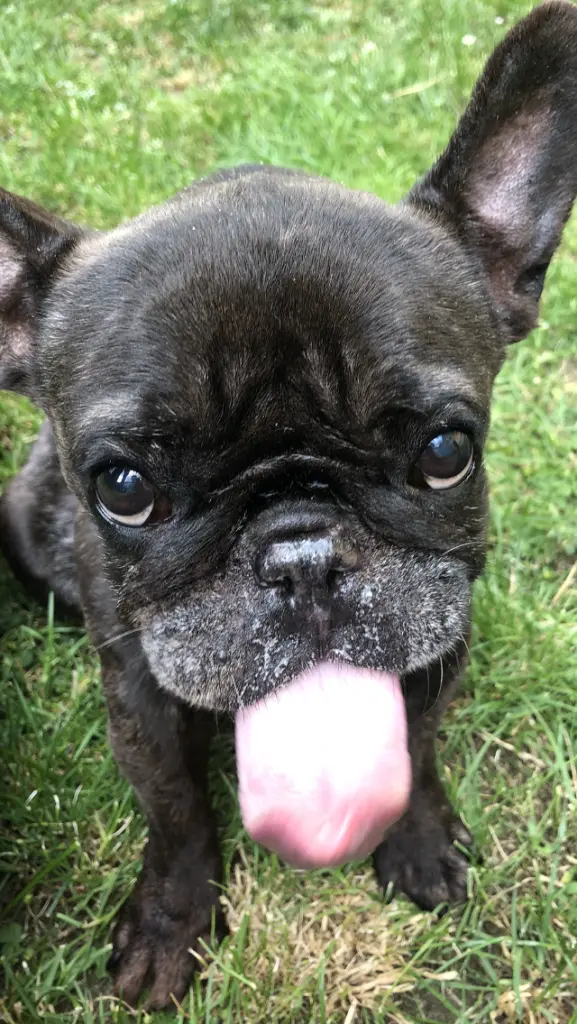 Bild von Betty