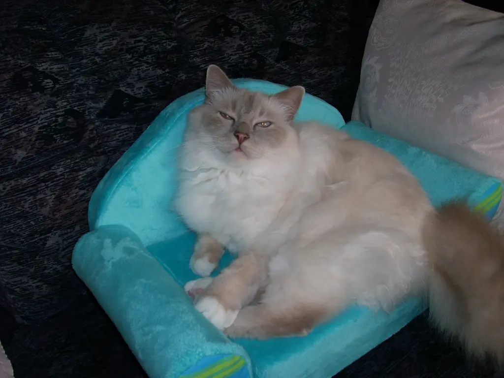 Condolence image of Katrin