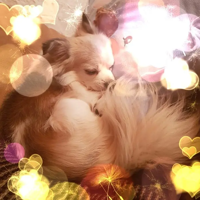 Condolence image of Claudia