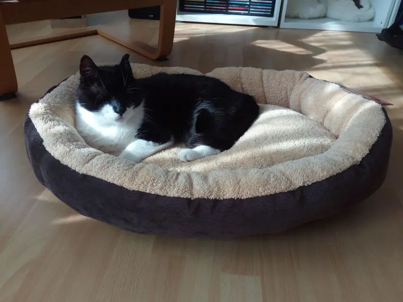 Condolence image of Mary