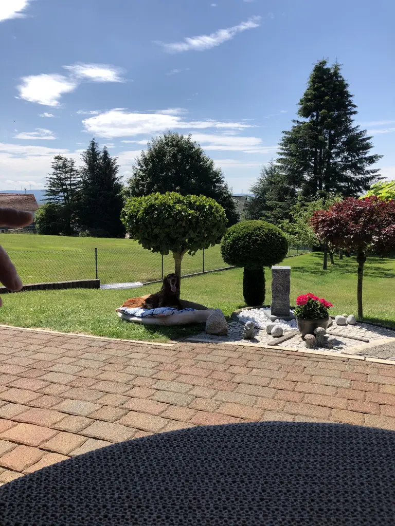 Image from Amora