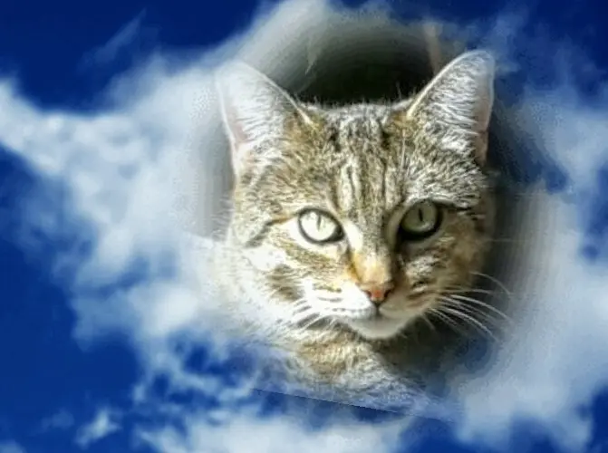 Condolence image of Gabi Dresen