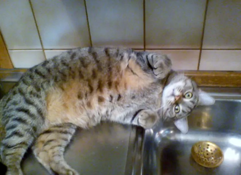 Image from Jeanny,Quieselchen,JLo