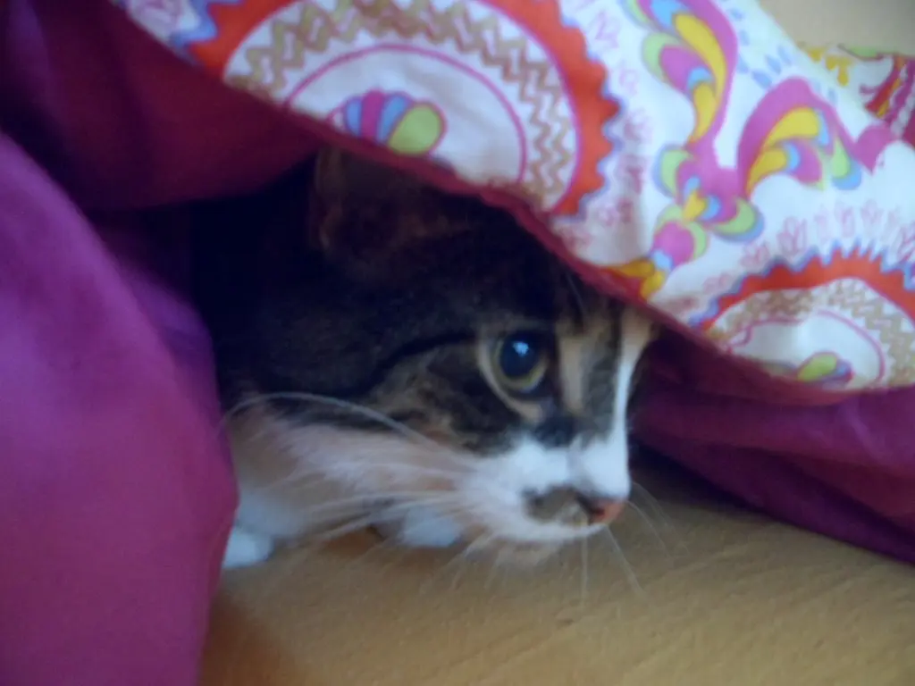 Condolence image of Sabine