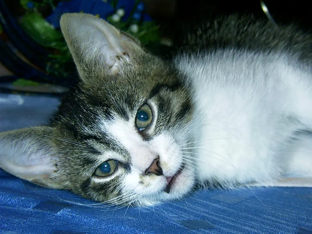 Condolence image of Sabine