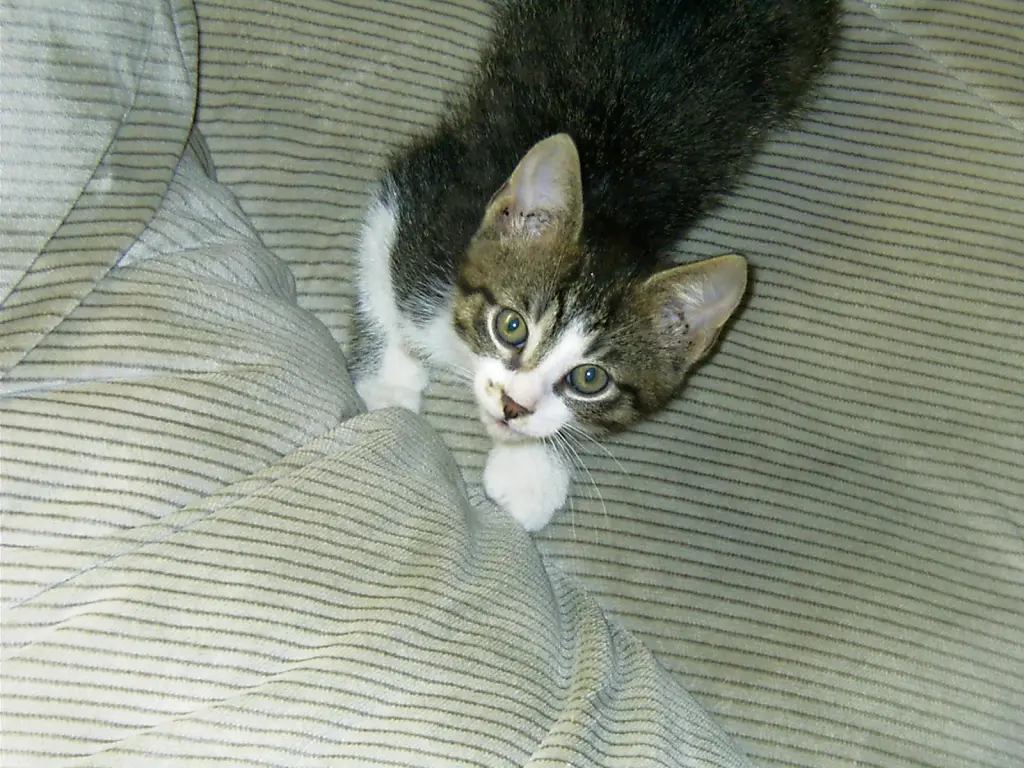 Condolence image of Sabine