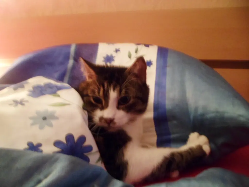Condolence image of Sabine