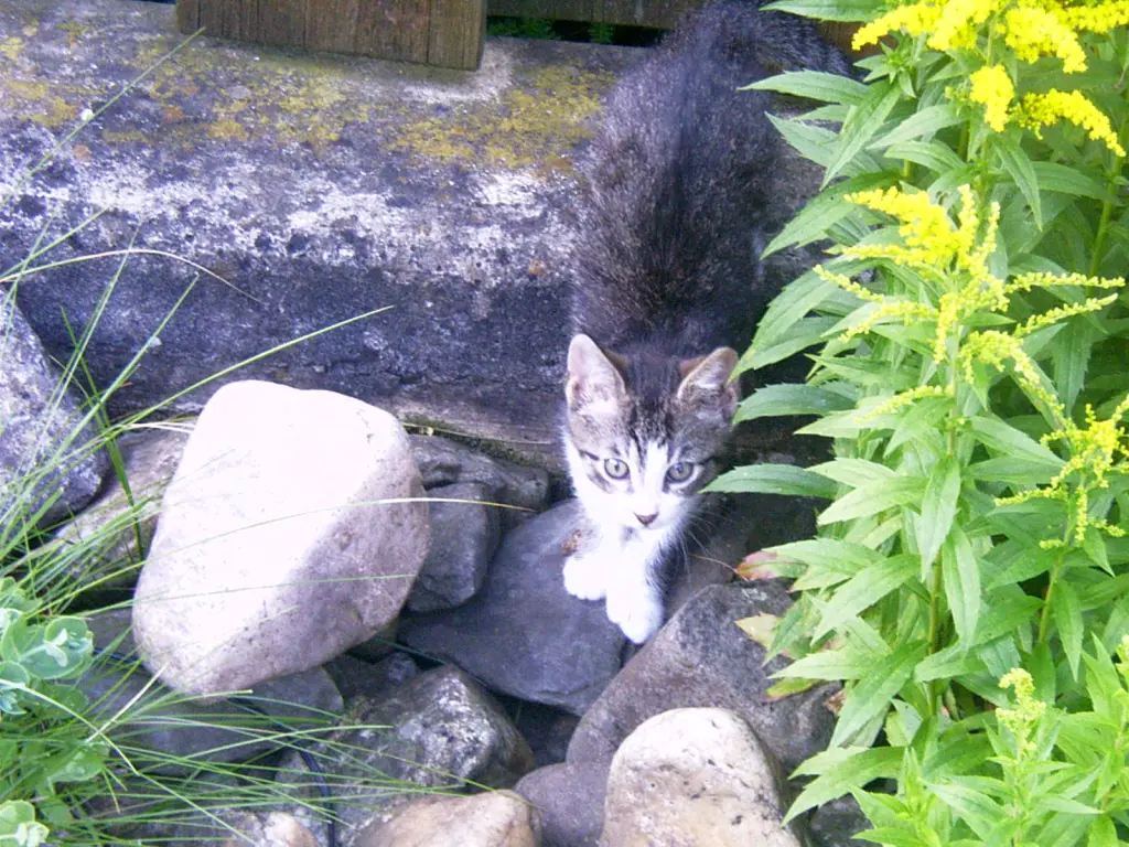 Condolence image of Sabine