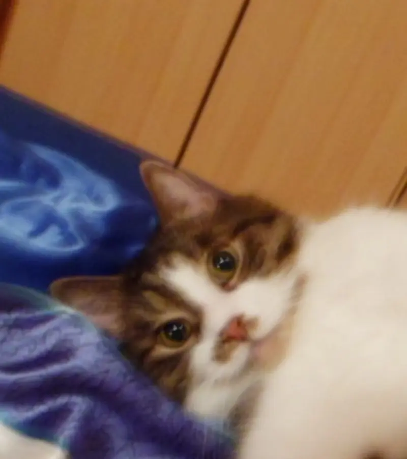 Condolence image of Sabine