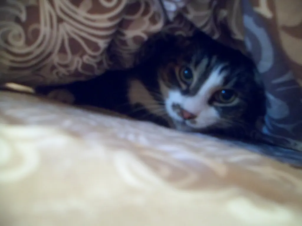 Condolence image of Sabine