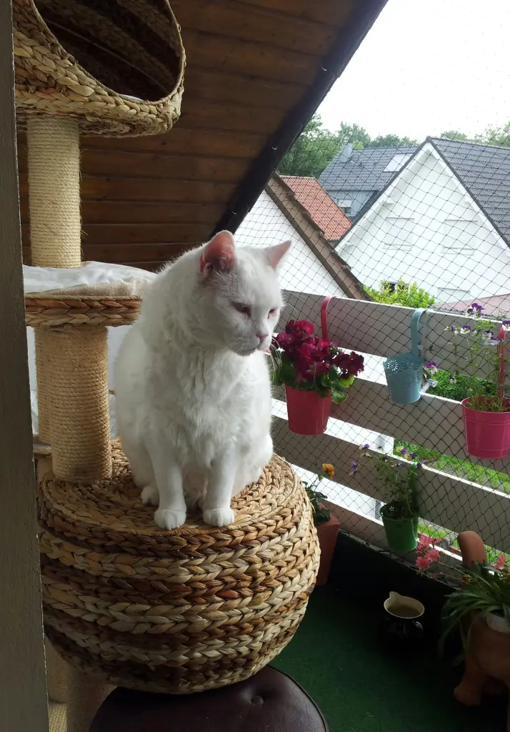 Condolence image of Ilse