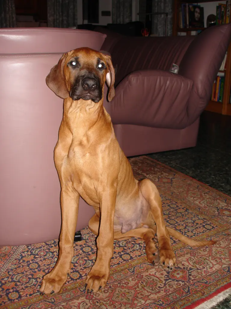 Condolence image of Astrid