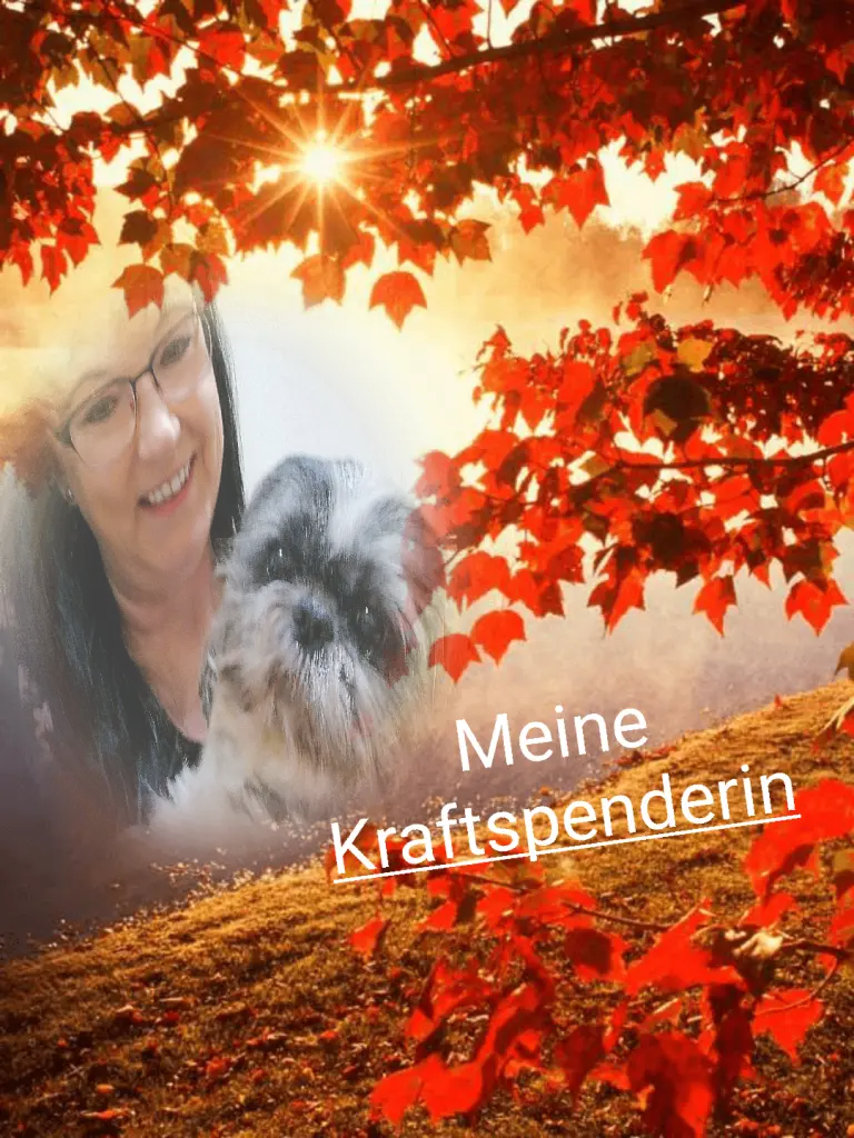 Andachtsbild von Mami
