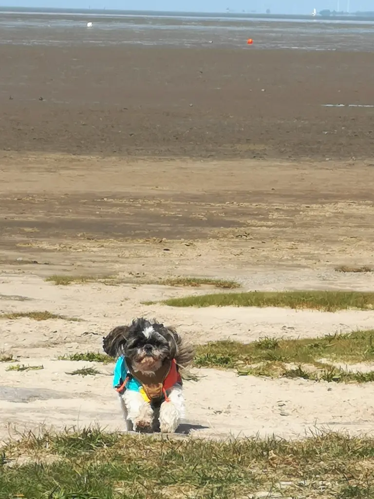 Andachtsbild von Mami